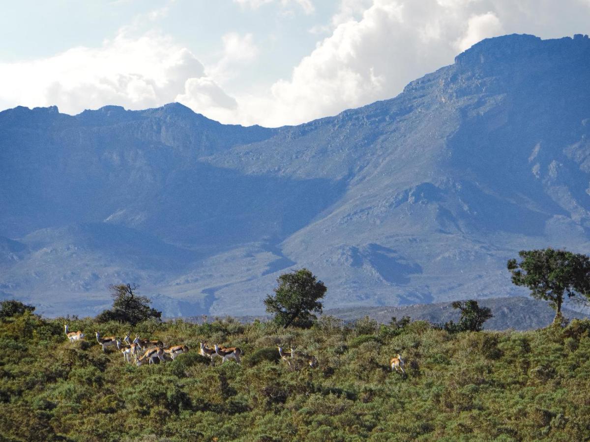 Rooiberg Wild Private Game Reserve レディスミス エクステリア 写真