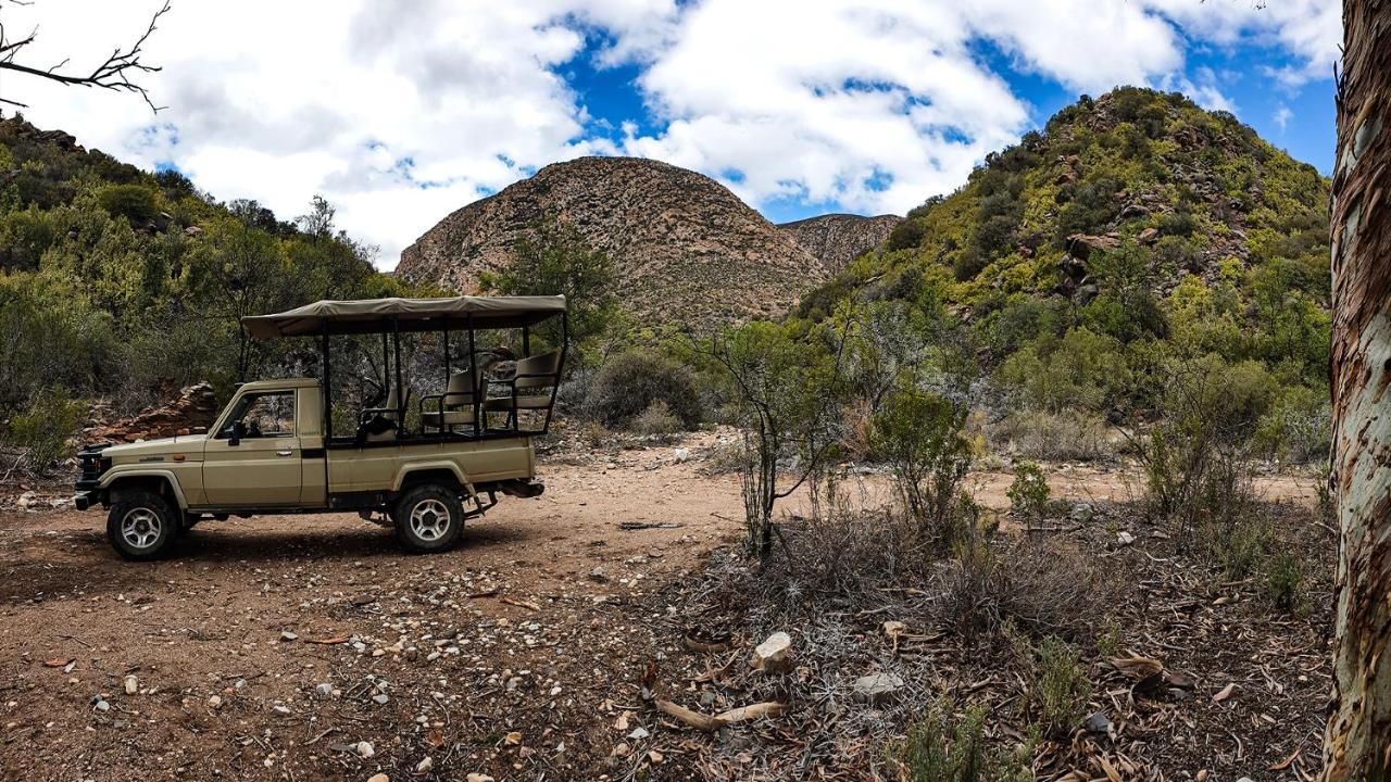 Rooiberg Wild Private Game Reserve レディスミス エクステリア 写真